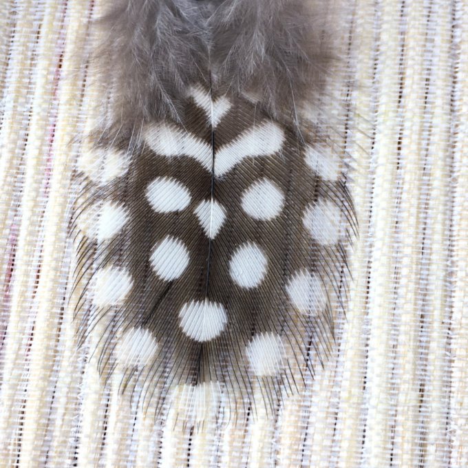 Boucles d'oreilles plumes, blanc & noir