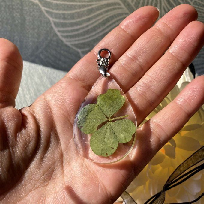 Collier trèfle à 4 feuilles, pendentif goutte