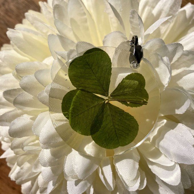Collier trèfle à 4 feuilles, pendentif rond