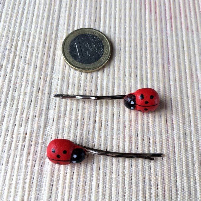 Epingles à cheveux, bobby pin, coccinelle