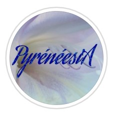 pyreneesia.fr